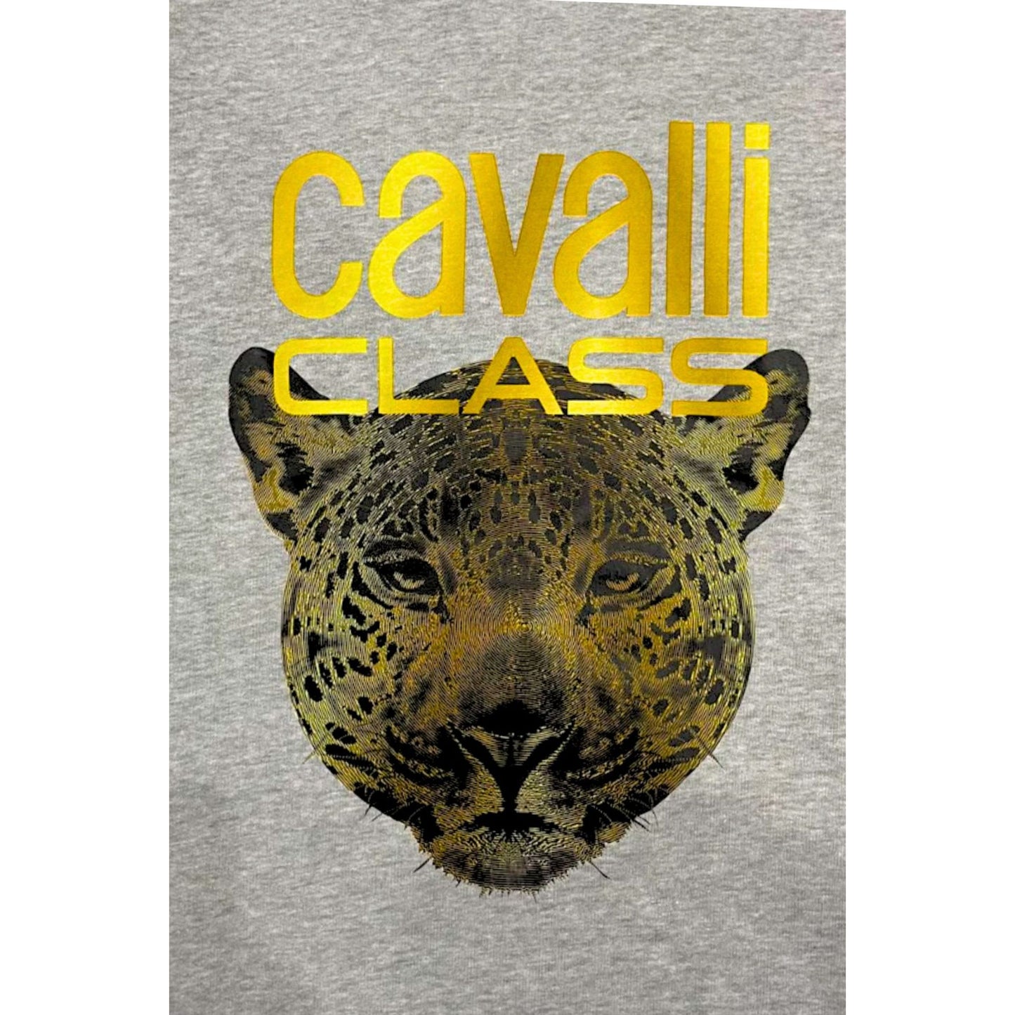 Cavalli Class Felpe
